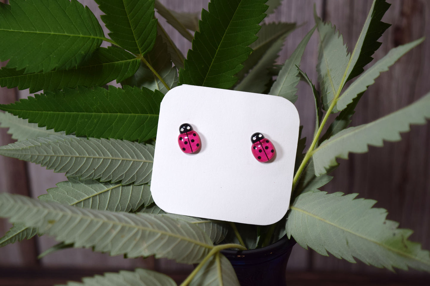 Kid’s Saint Earrings - Mary’s Ladybeetles