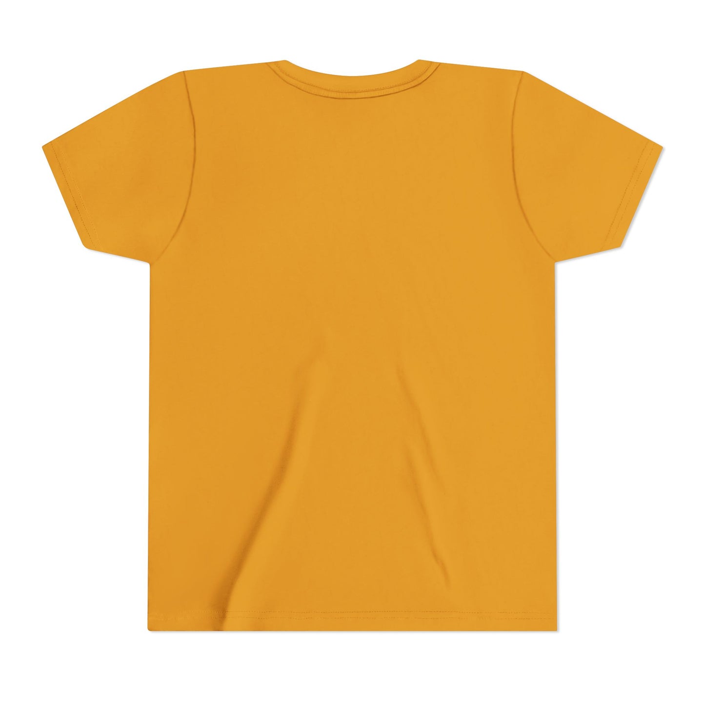Mysteries of the Rosary YOUTH T-shirt
