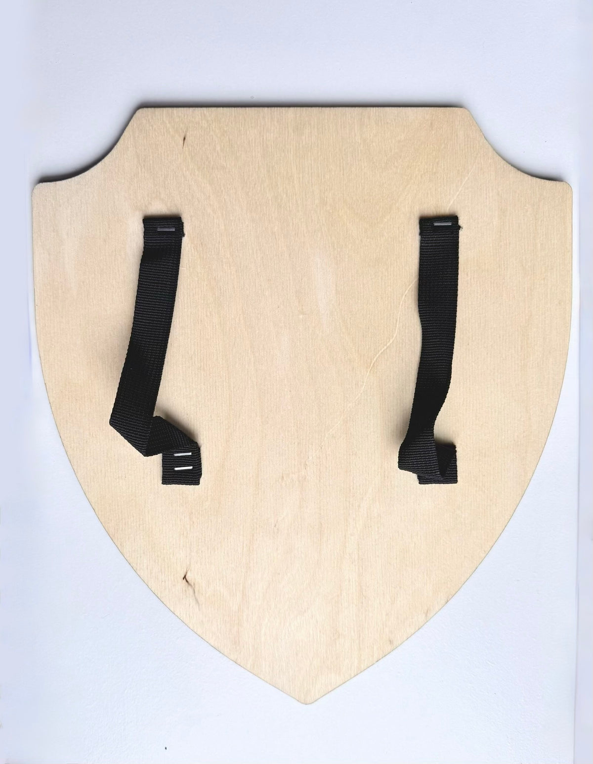 St. Joan of Arc shield- All Saints’ Day costume prop